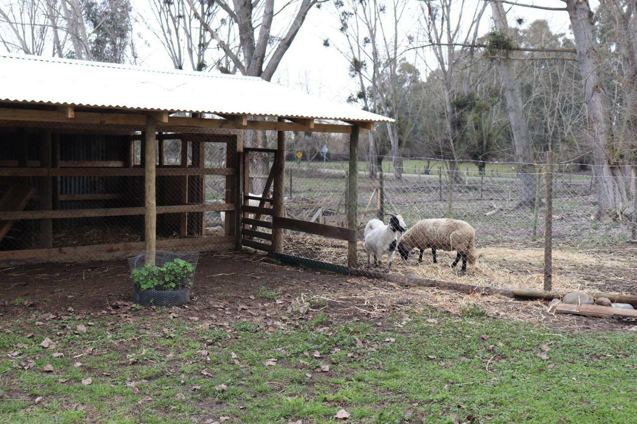 Chácara Lo Vilches Chillán